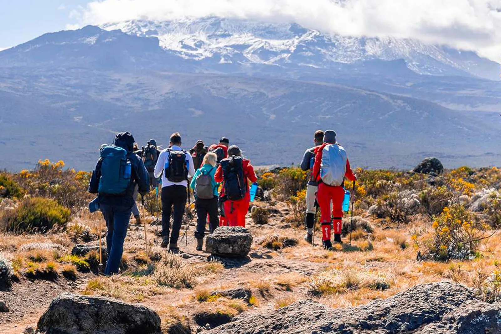 Read more about the article 7 Days Kilimanjaro Rongai Route