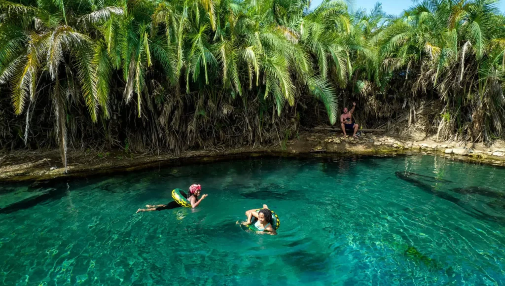 hotspring tour