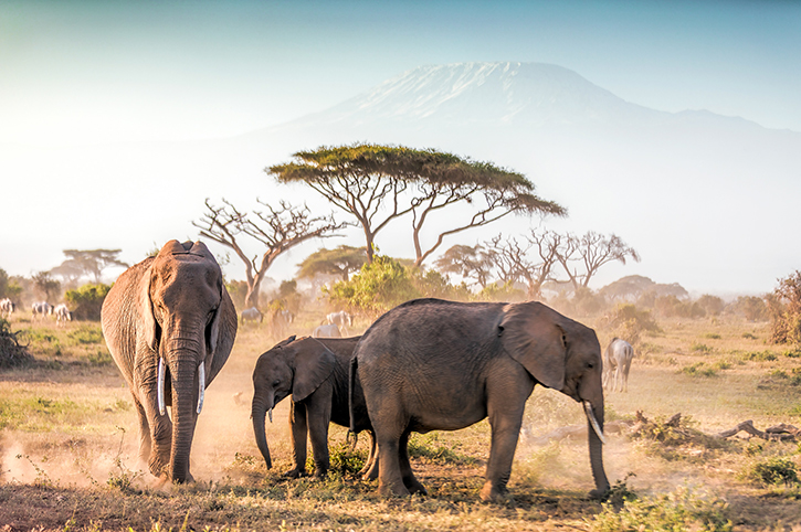 kenya safaris4