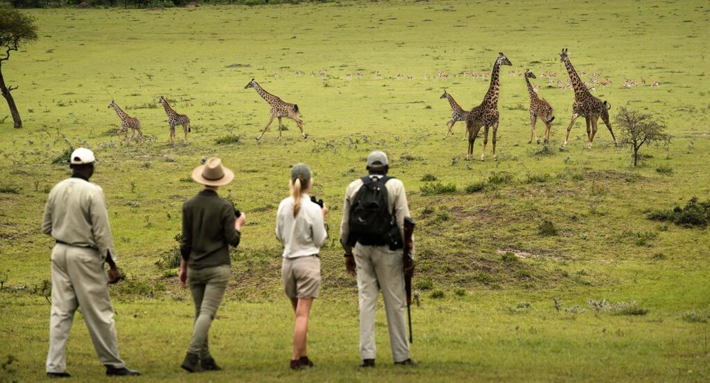 Walking Safari